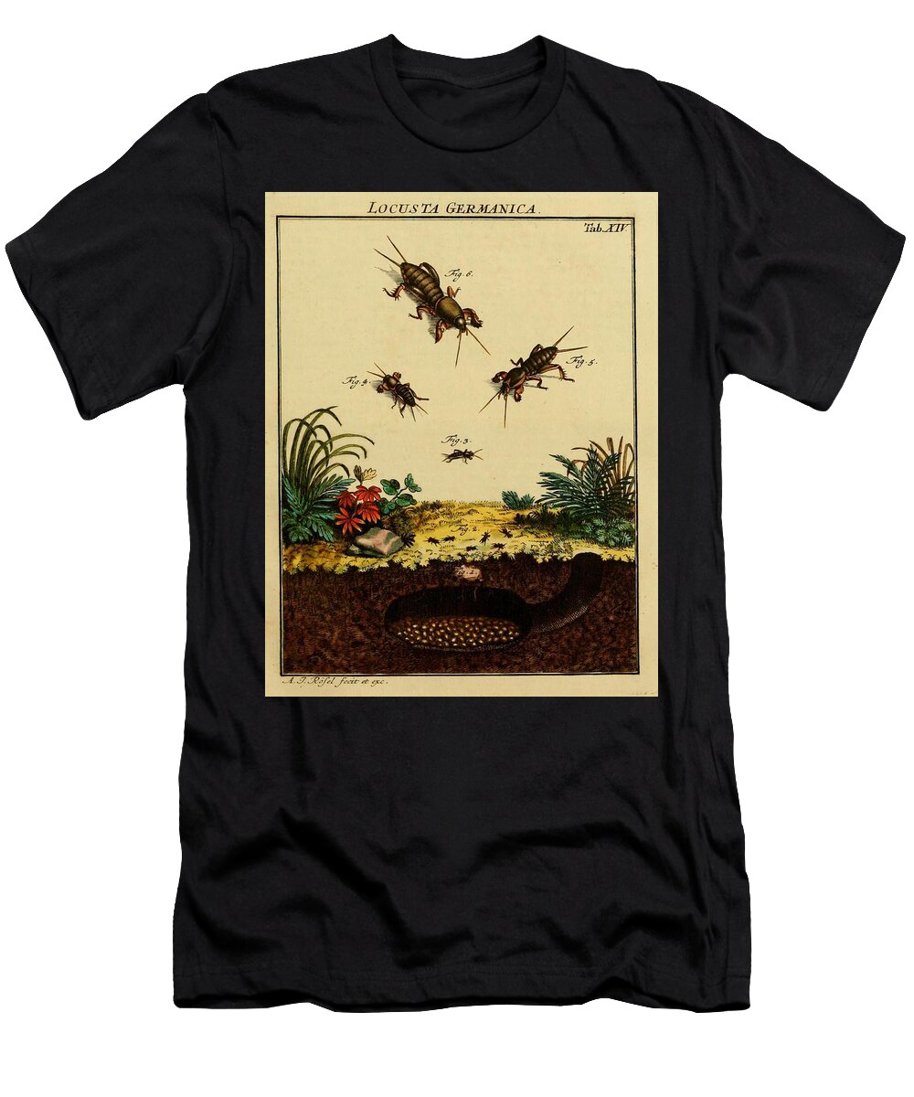 45 Insects Beautiful Nature Prints T-Shirt