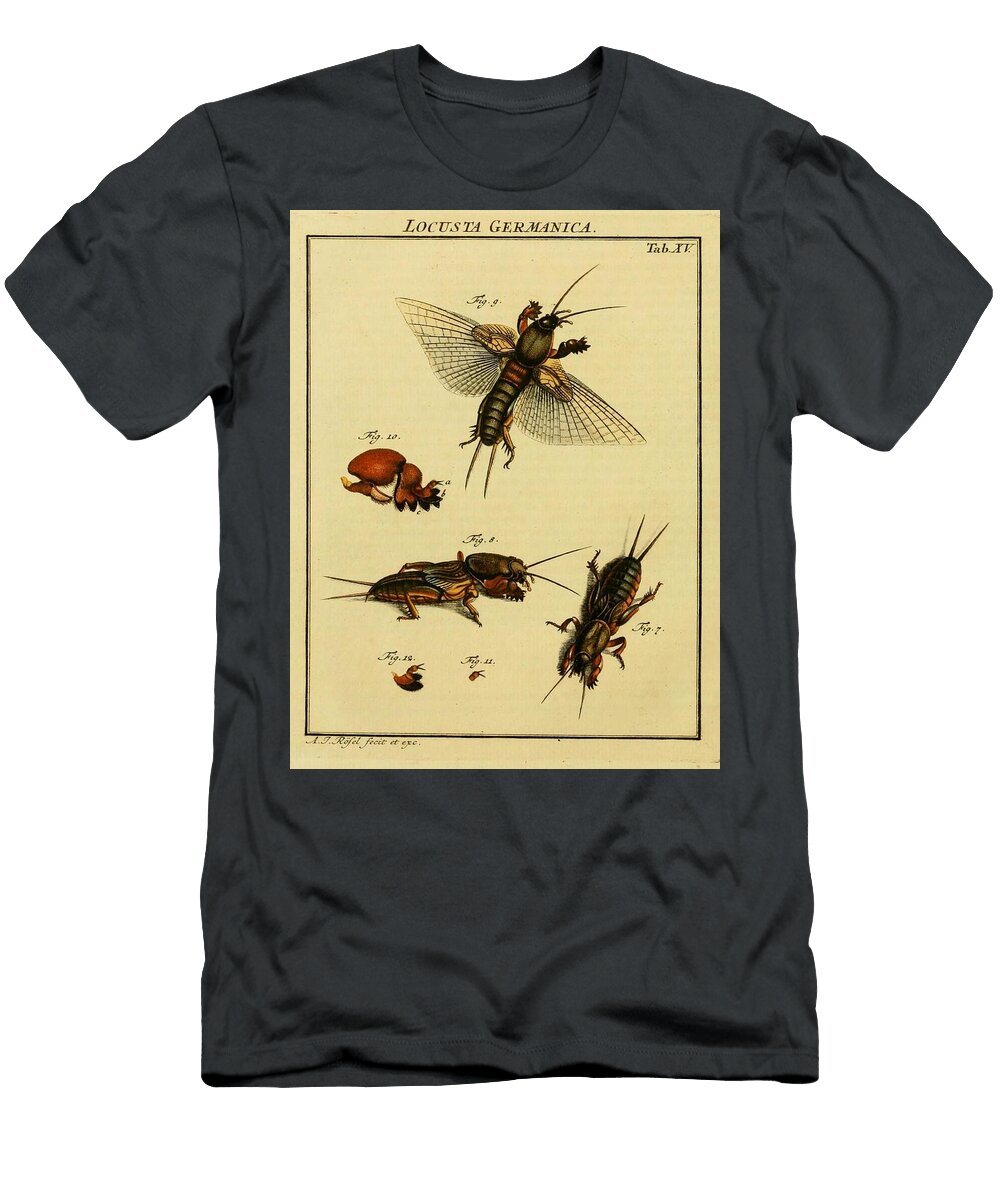 46 Insects Beautiful Nature Prints T-Shirt
