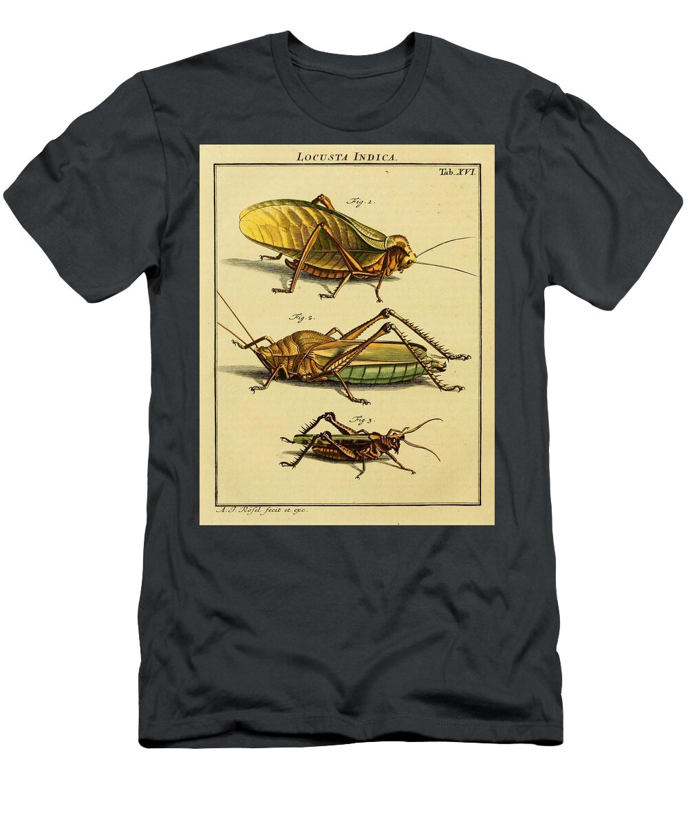 47 Insects Beautiful Nature Prints T-Shirt
