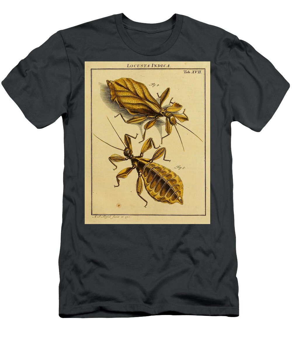 48 Insects Beautiful Nature Prints T-Shirt