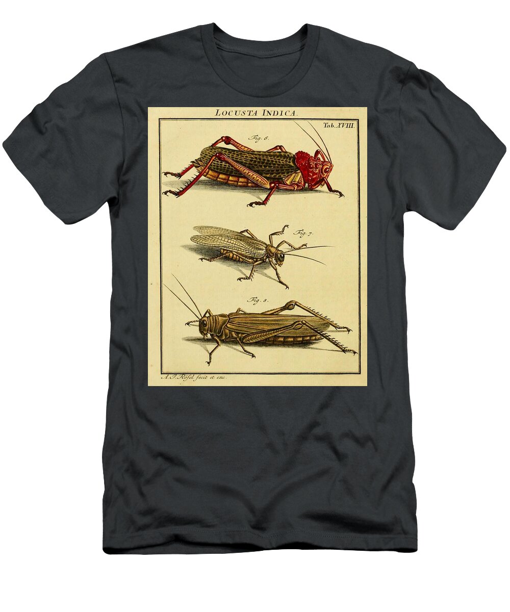 49 Insects Beautiful Nature Prints T-Shirt