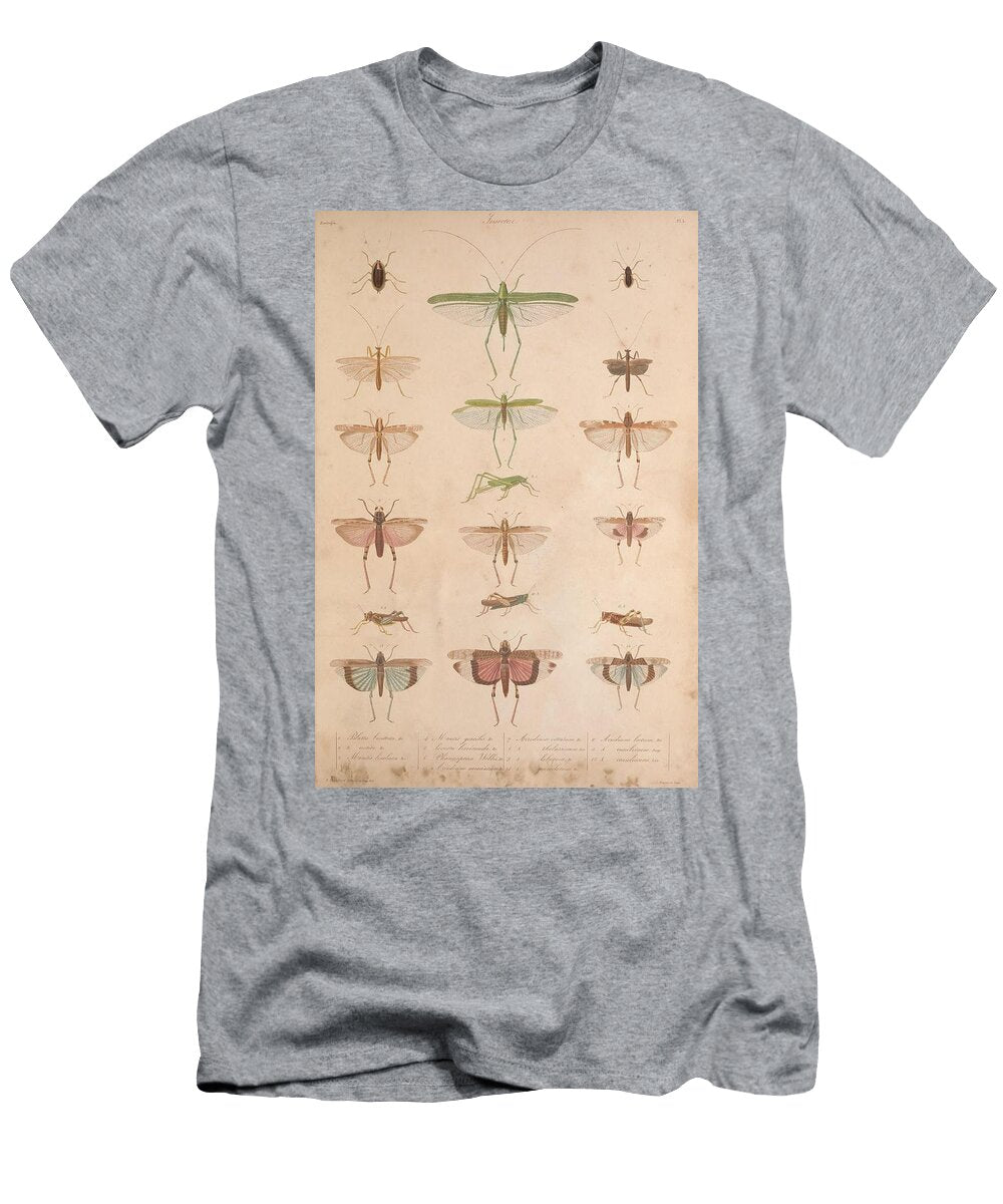 5 Insects Beautiful Nature Prints T-Shirt