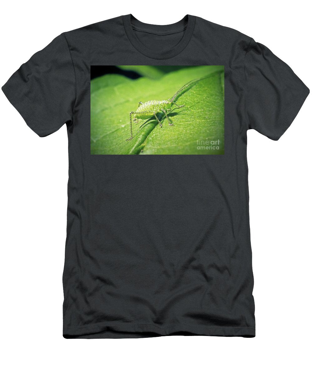 5 Leptophyes Punctatissima Speckled Bush Cricket Nymph Insect Frank Ramspott T-Shirt