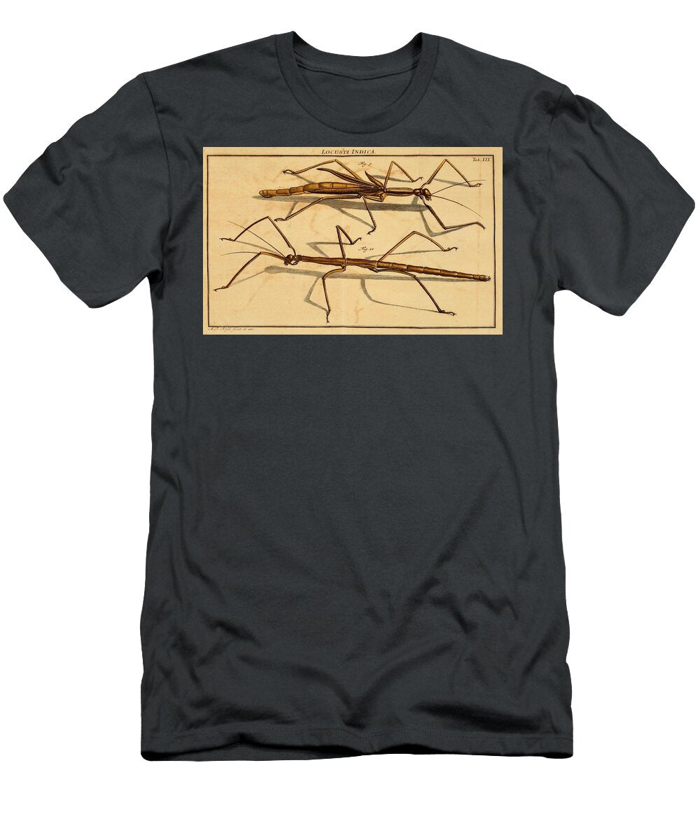 50 Insects Beautiful Nature Prints T-Shirt