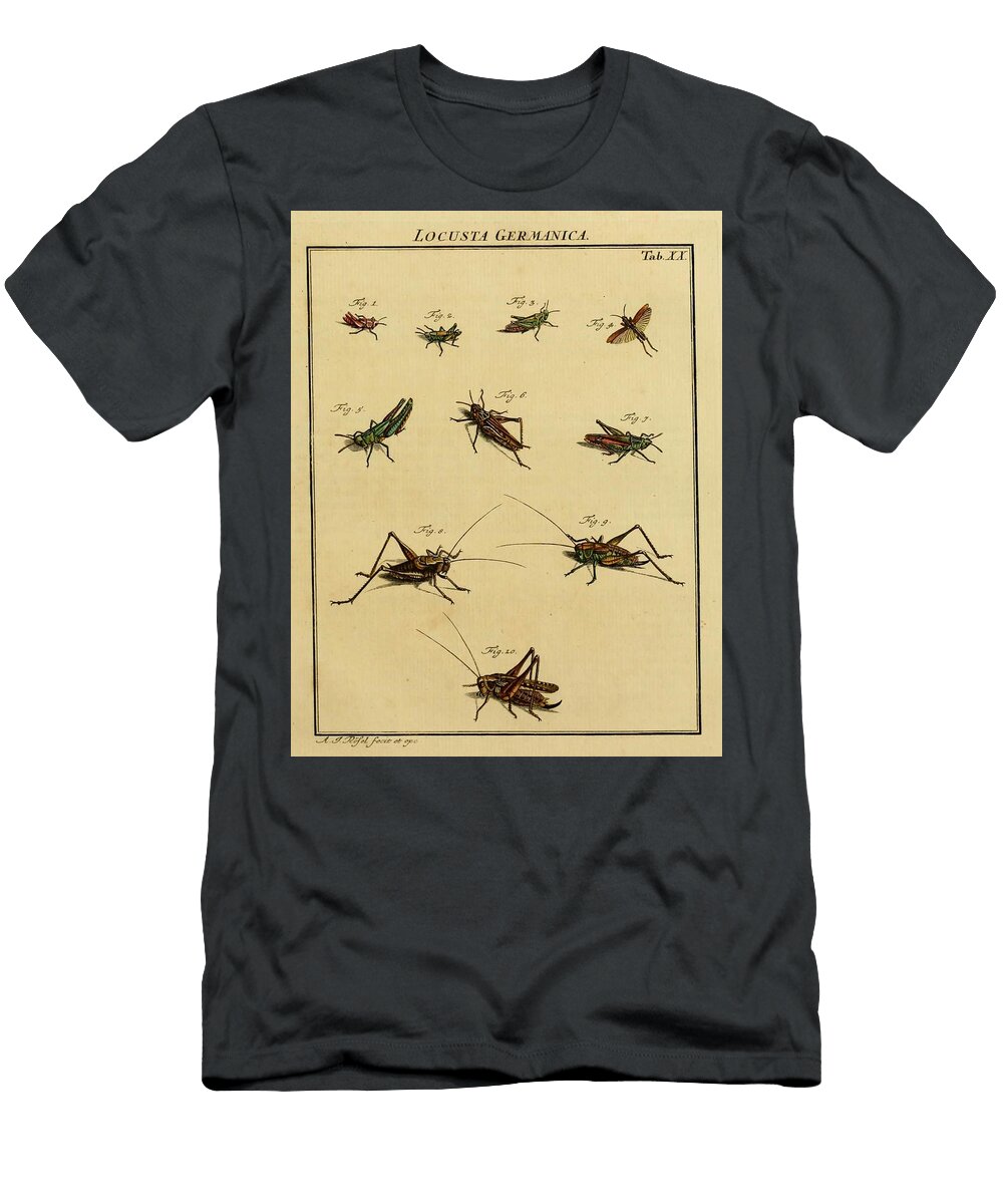 51 Insects Beautiful Nature Prints T-Shirt