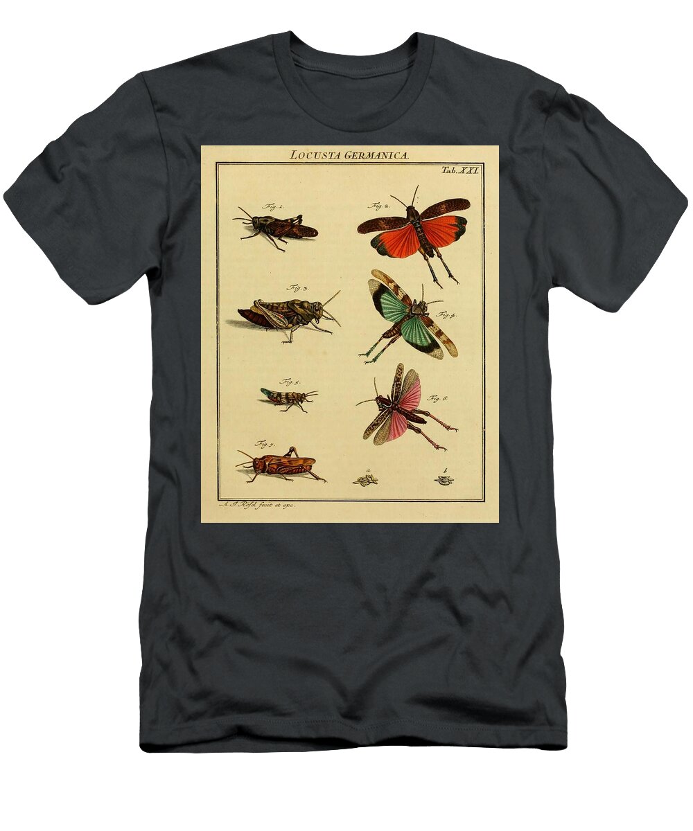 52 Insects Beautiful Nature Prints T-Shirt
