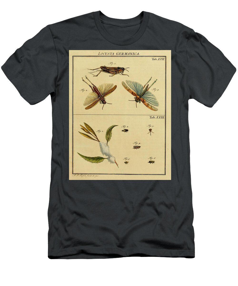 53 Insects Beautiful Nature Prints T-Shirt