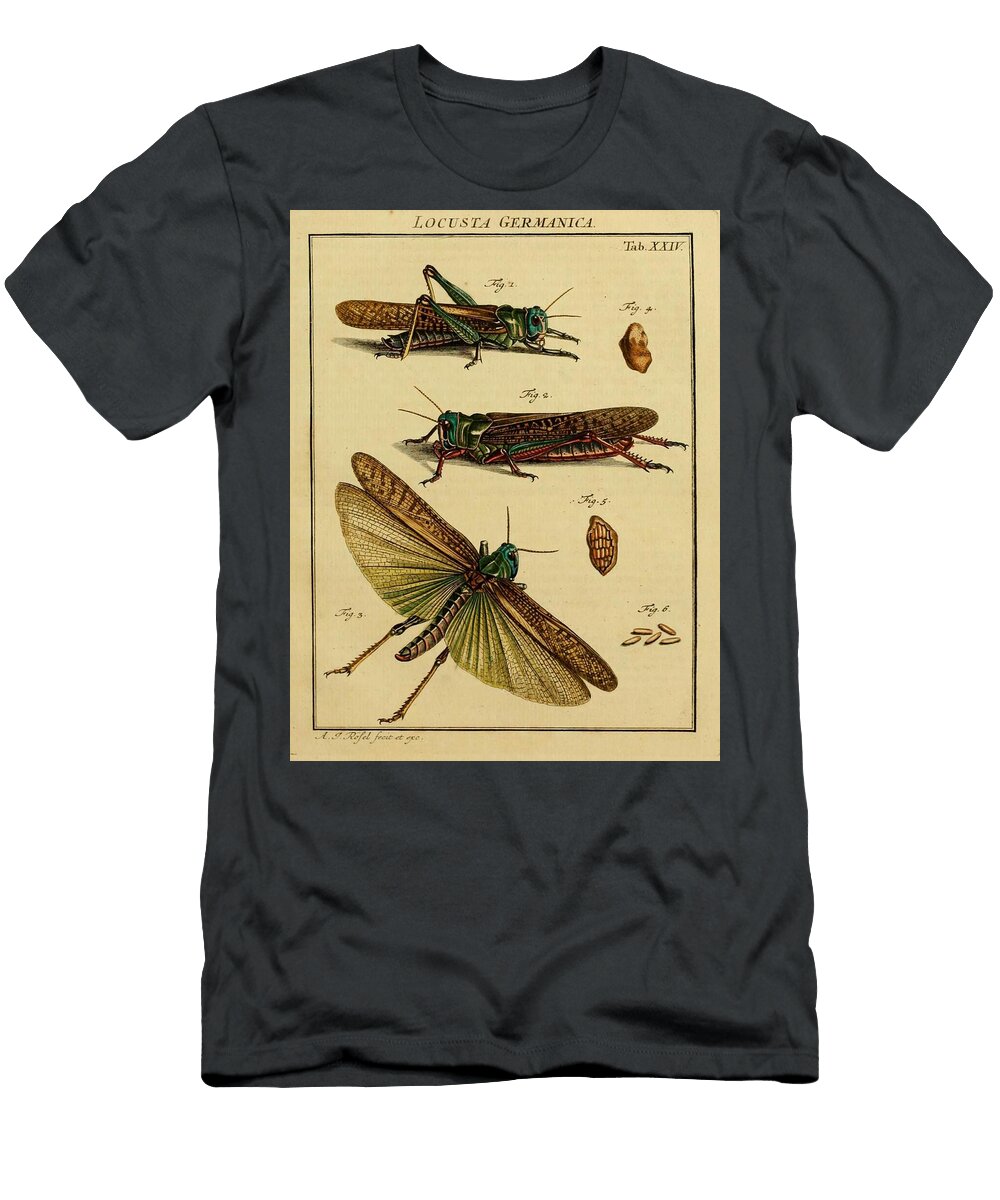 54 Insects Beautiful Nature Prints T-Shirt
