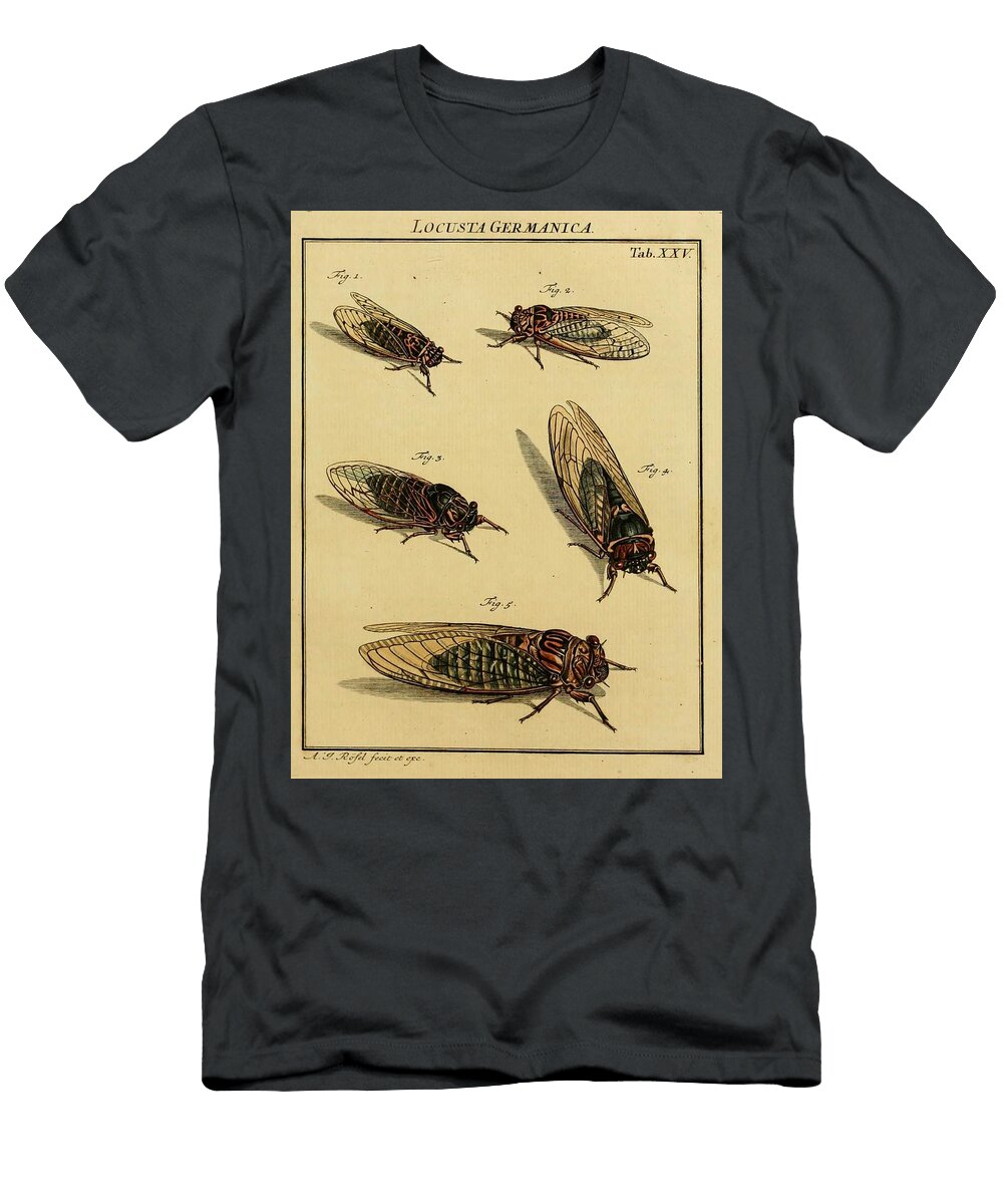 55 Insects Beautiful Nature Prints T-Shirt