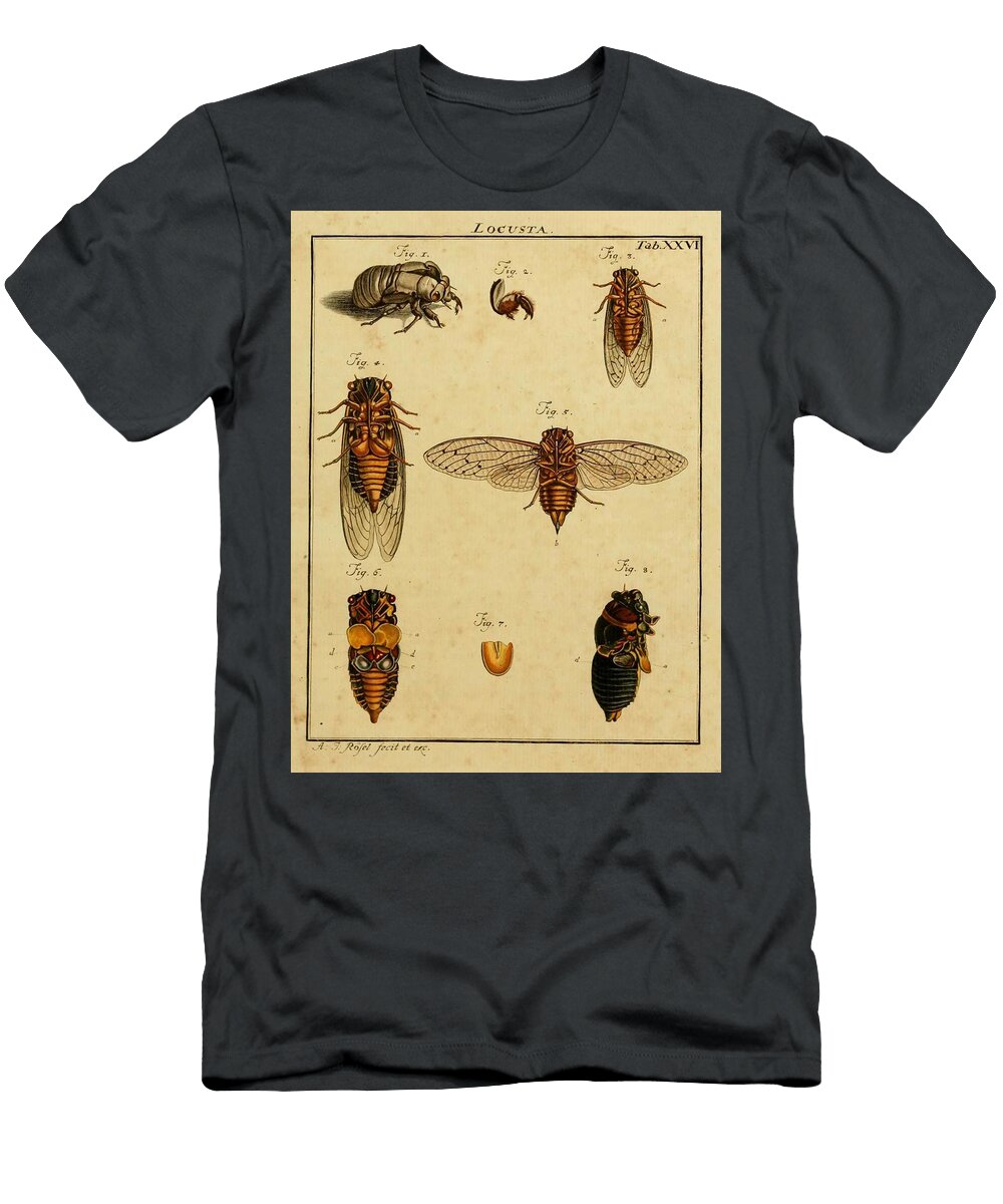 56 Insects Beautiful Nature Prints T-Shirt