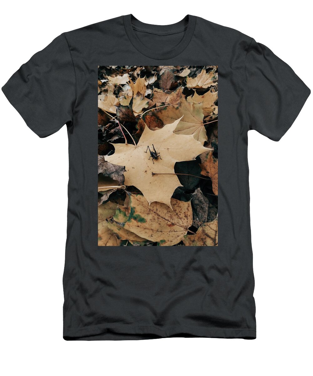 56 the Colors of Fall Jeramy T-Shirt