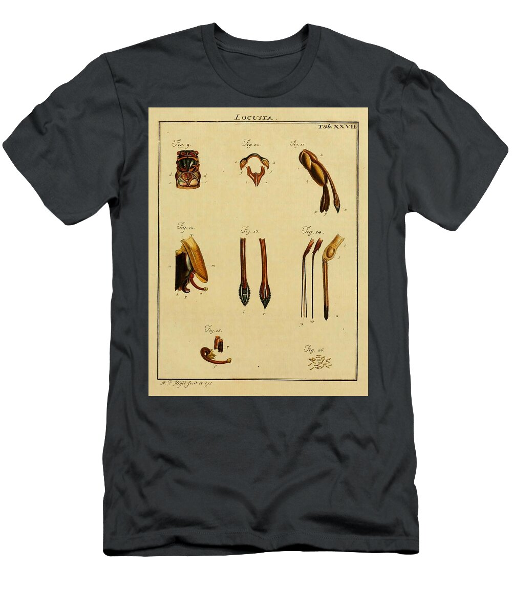 57 Insects Beautiful Nature Prints T-Shirt