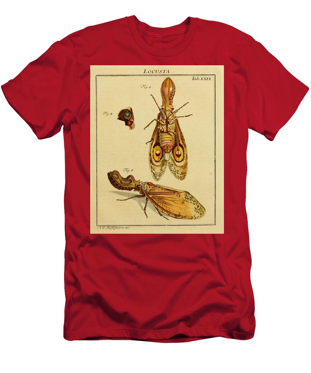 59 Insects Beautiful Nature Prints T-Shirt