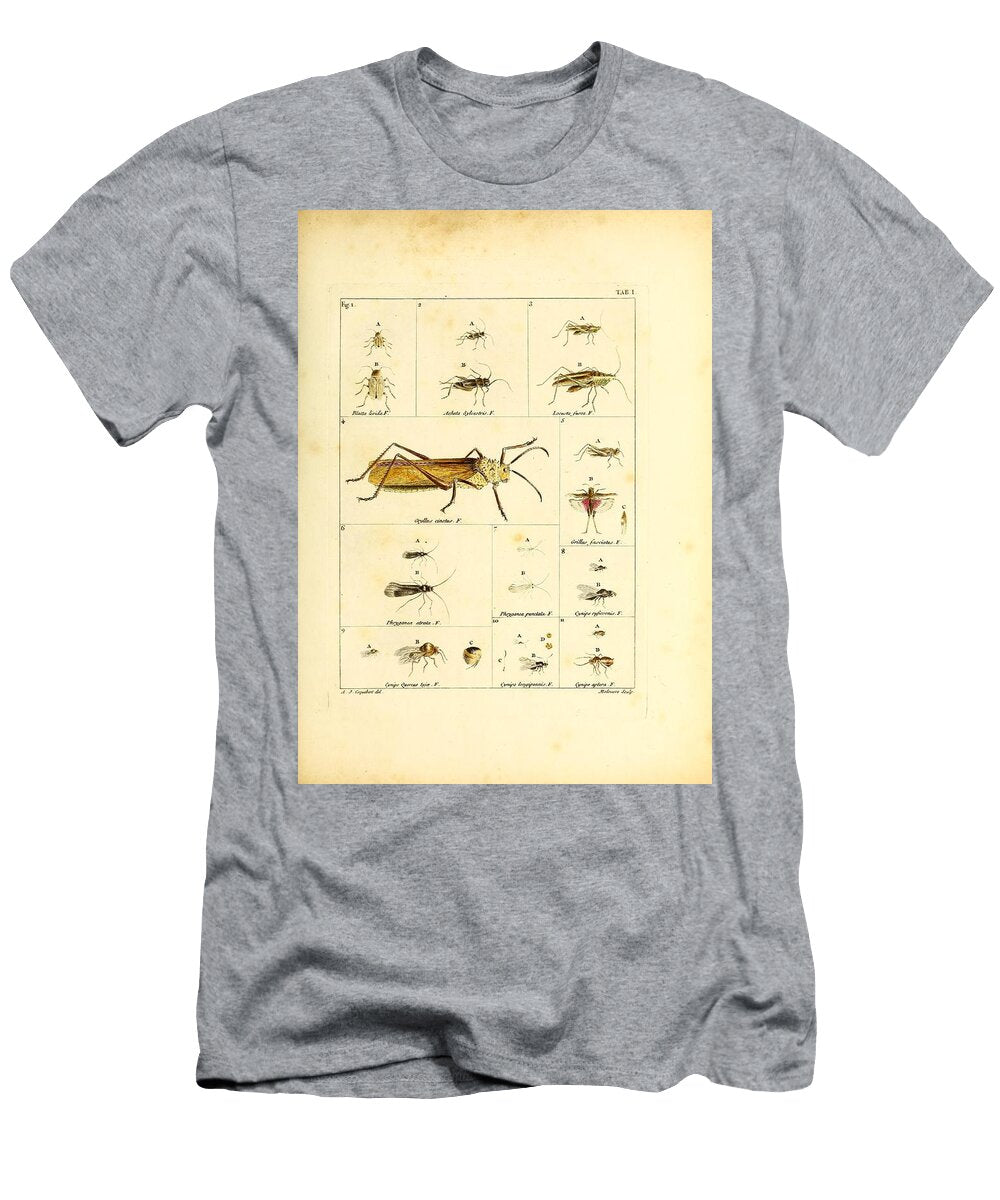 6 Insects Beautiful Nature Prints T-Shirt