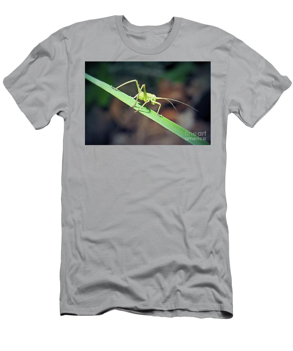 6 Leptophyes Punctatissima Speckled Bush Cricket Nymph Insect Frank Ramspott T-Shirt