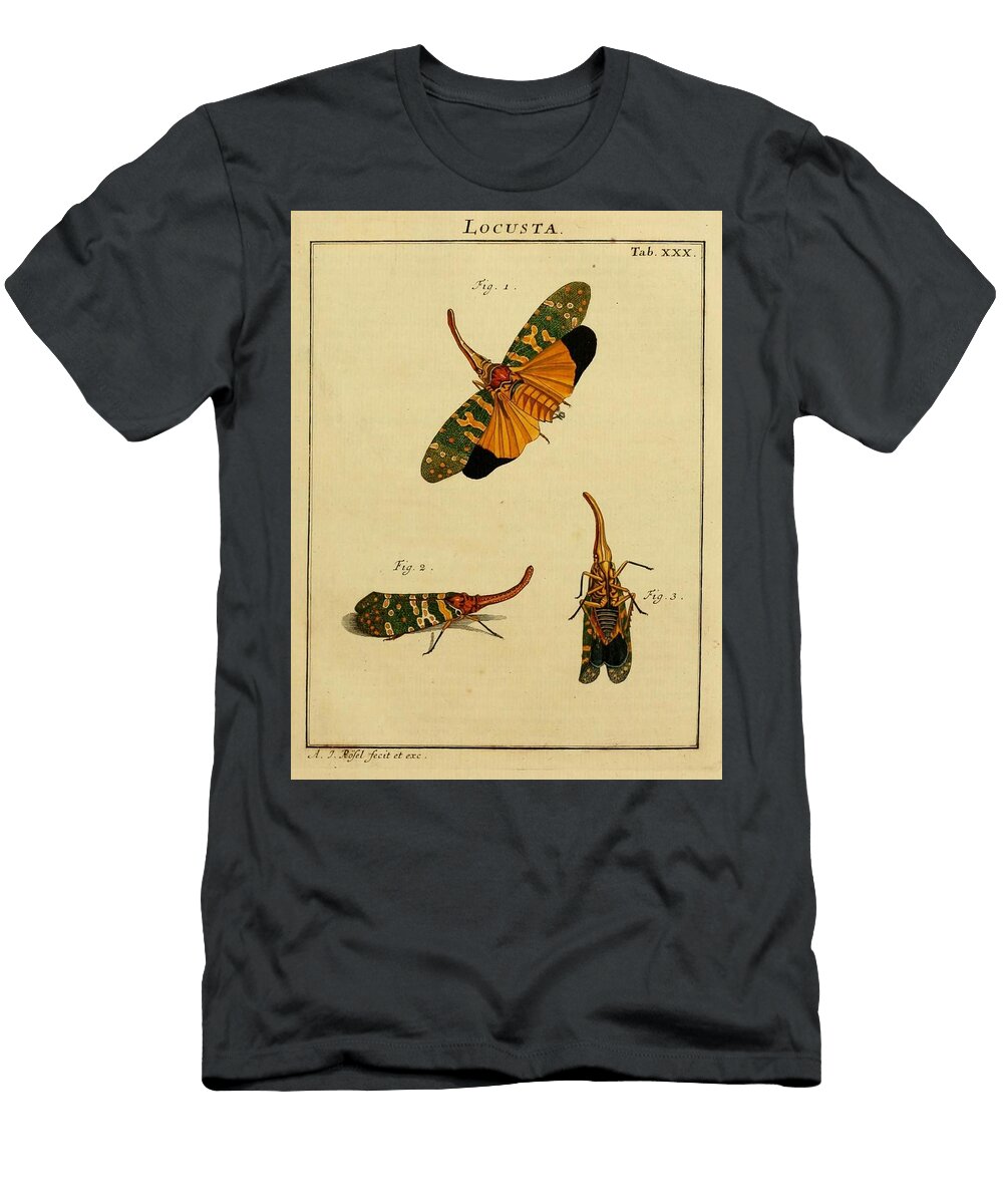 60 Insects Beautiful Nature Prints T-Shirt