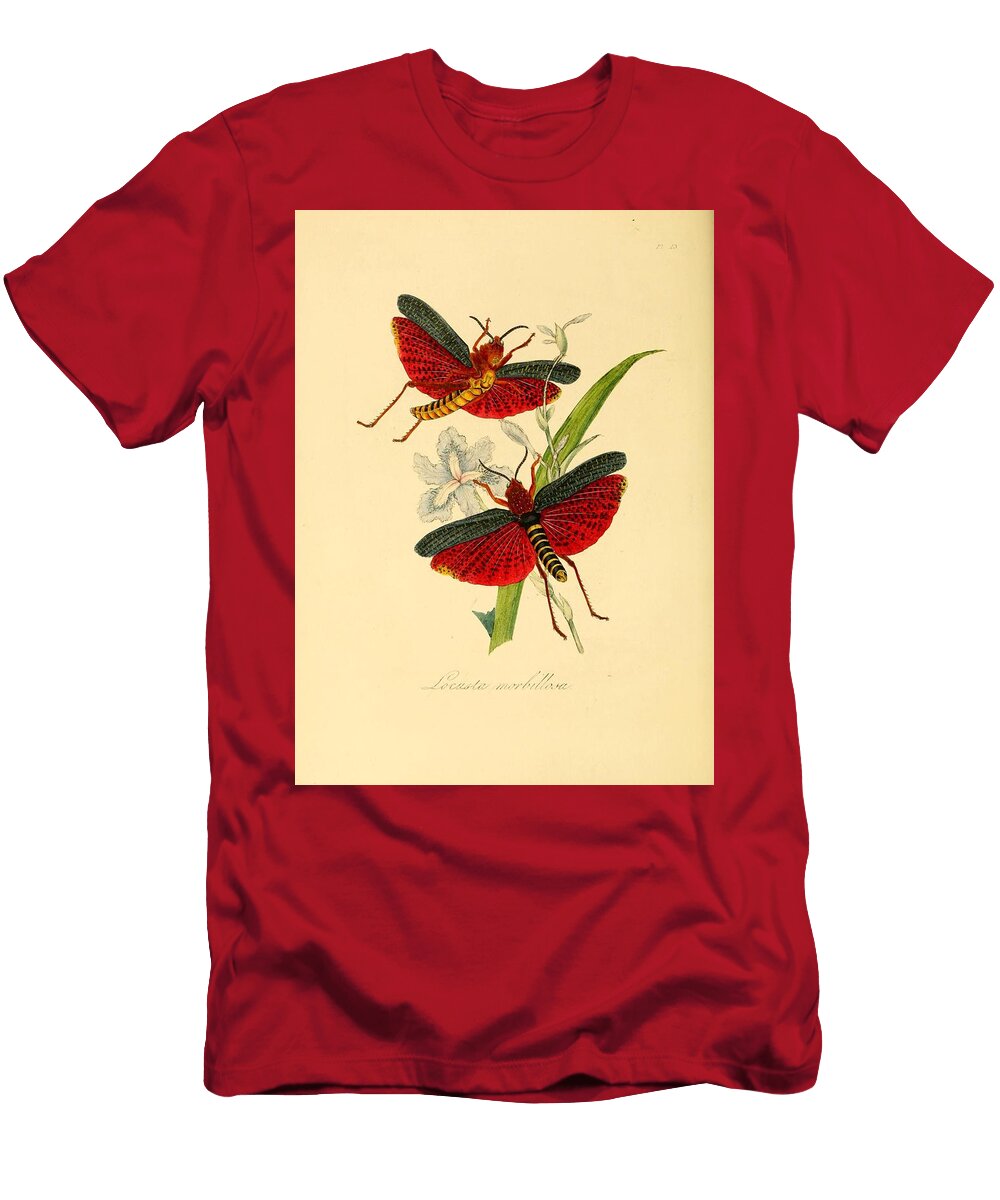61 Insects Beautiful Nature Prints T-Shirt
