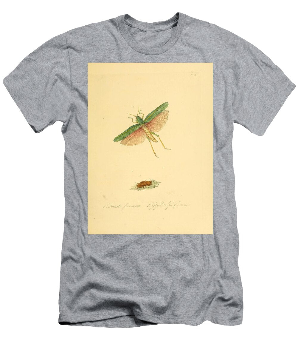 62 Insects Beautiful Nature Prints T-Shirt