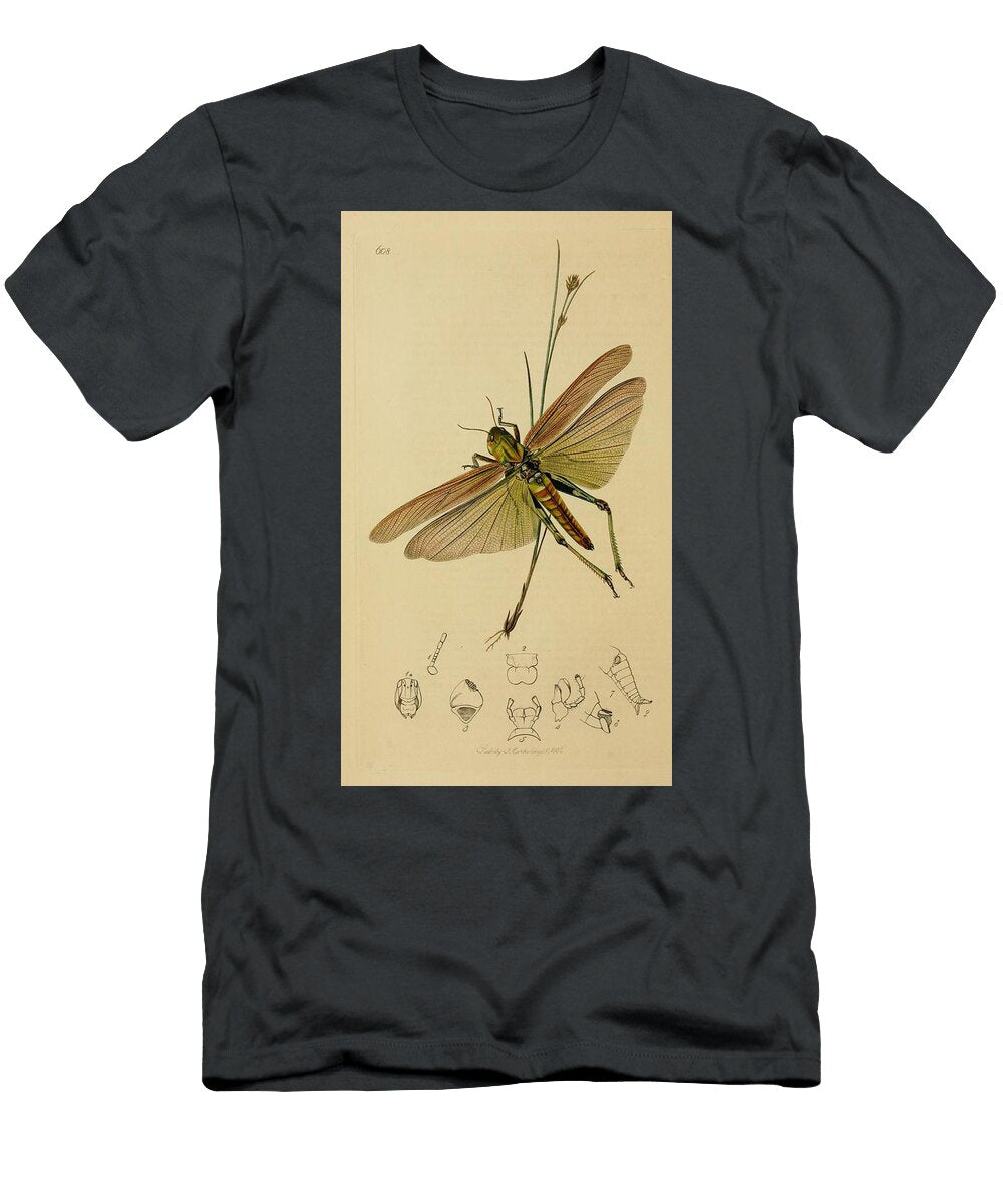 63 Insects Beautiful Nature Prints T-Shirt