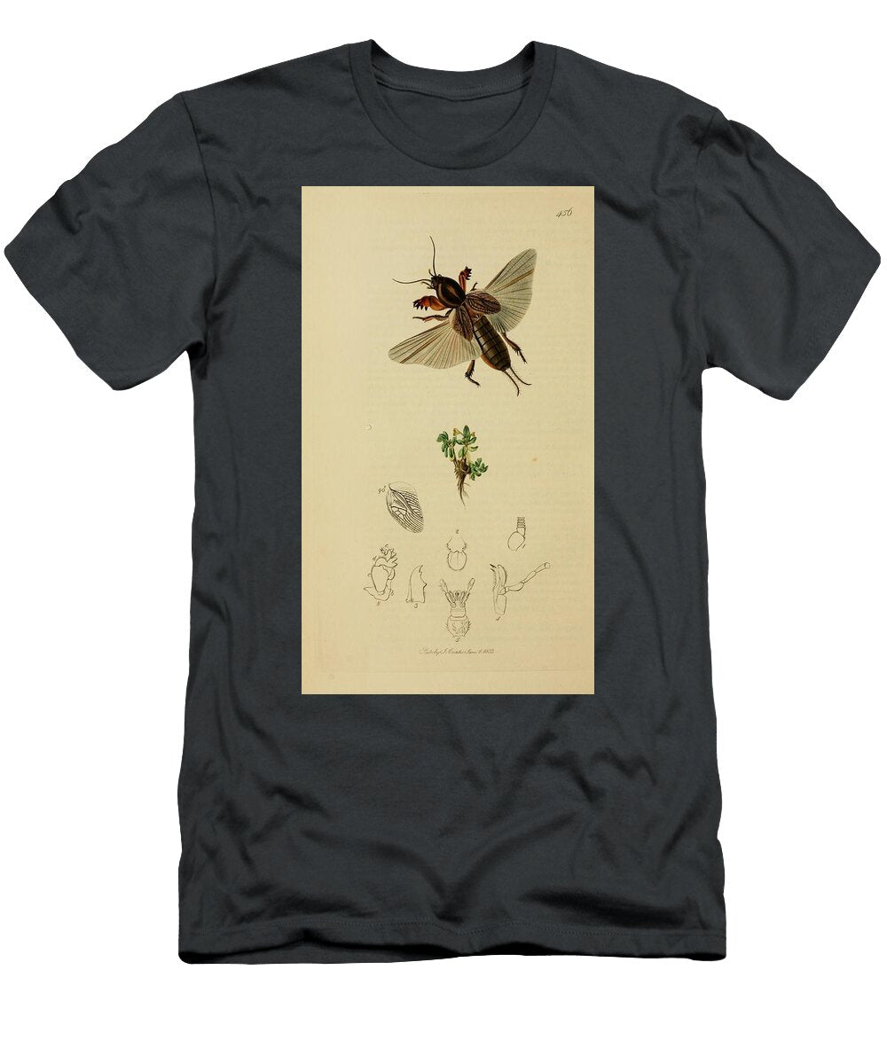 64 Insects Beautiful Nature Prints T-Shirt