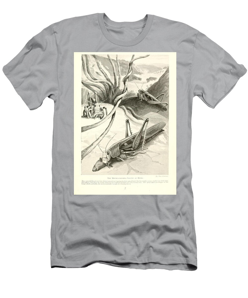 65 Insects Beautiful Nature Prints T-Shirt