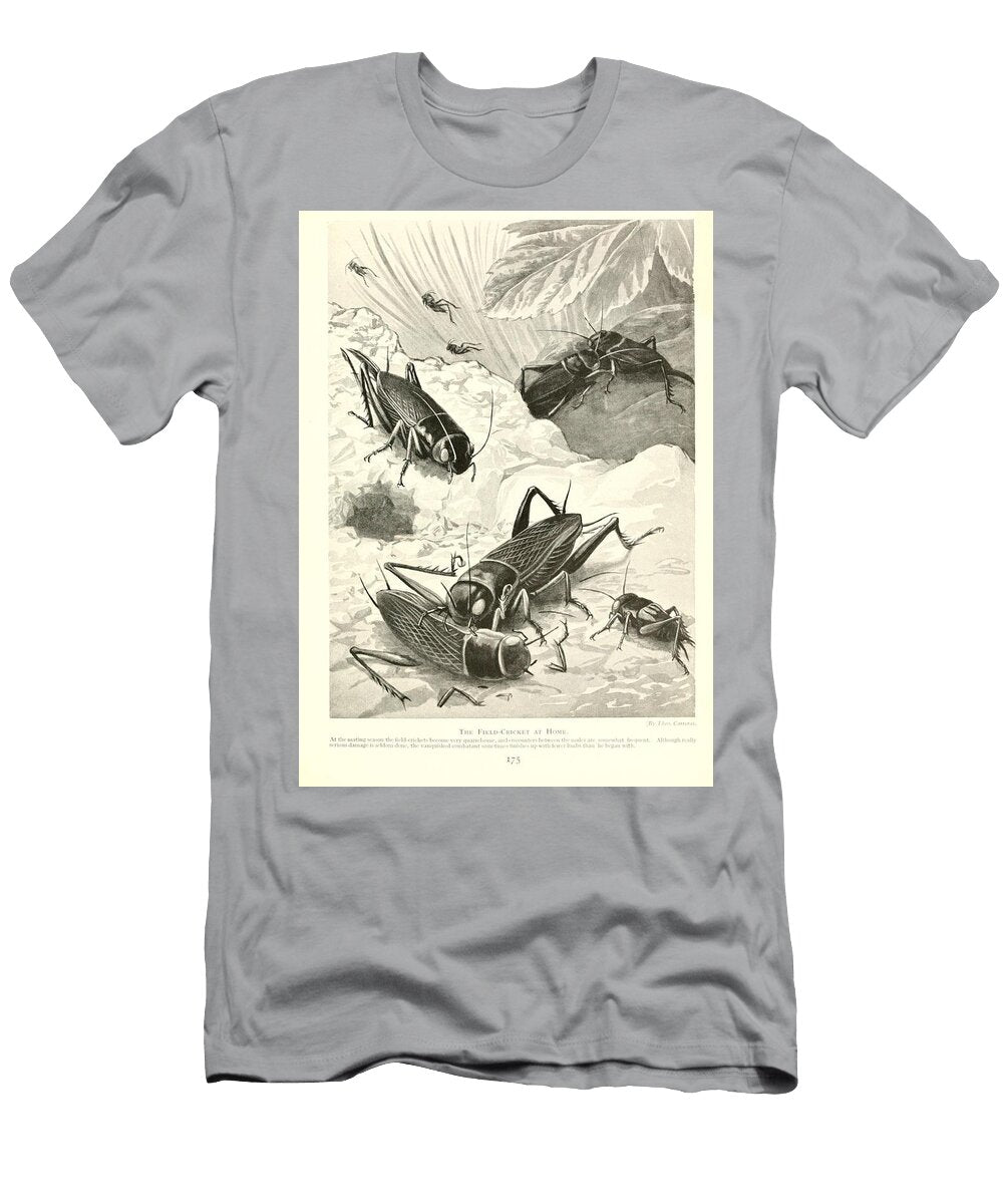 66 Insects Beautiful Nature Prints T-Shirt