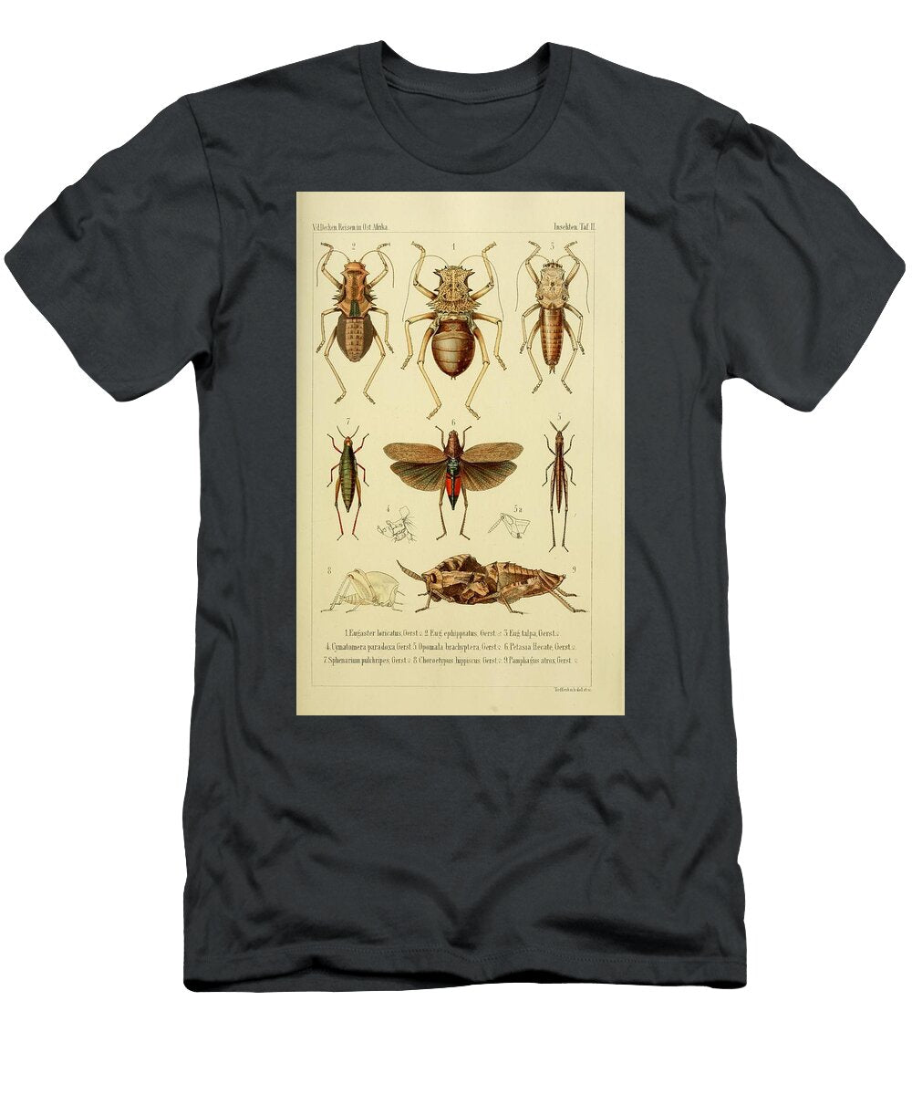 68 Insects Beautiful Nature Prints T-Shirt