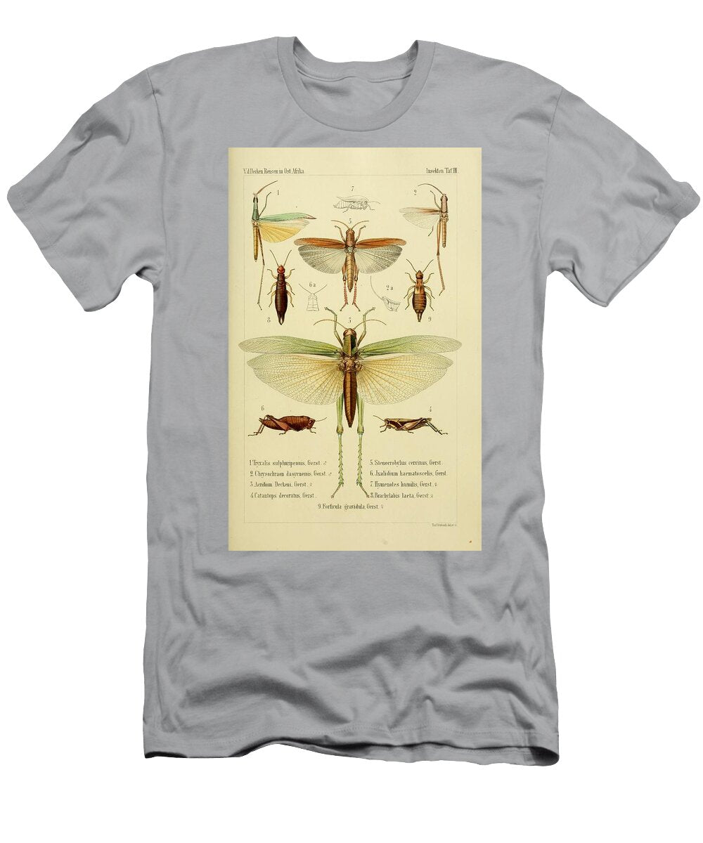 69 Insects Beautiful Nature Prints T-Shirt