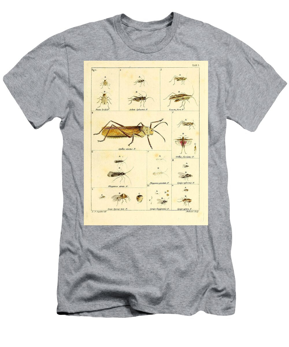 7 Insects Beautiful Nature Prints T-Shirt