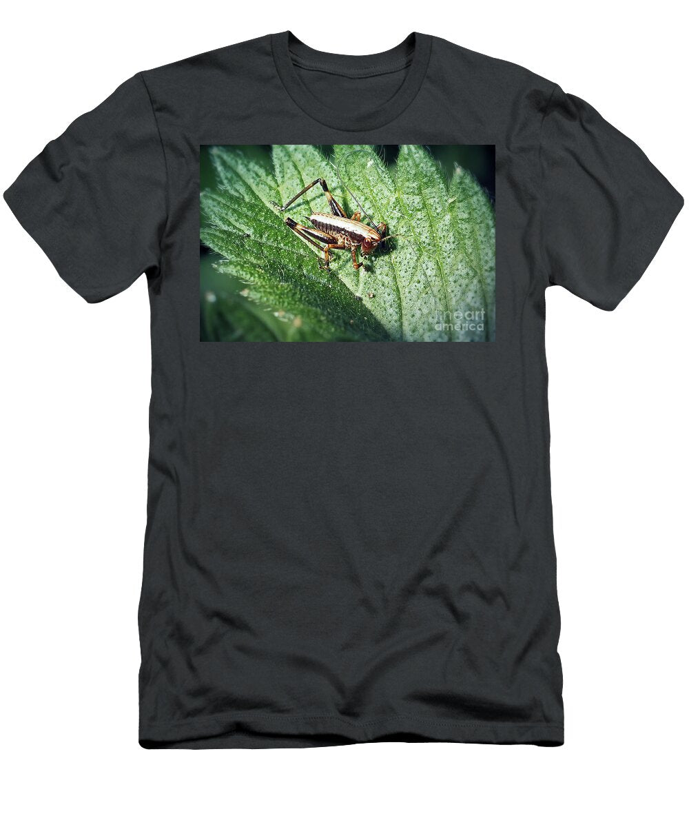 7 Pholidoptera Griseoaptera Dark Bush Cricket Nymph Insect Frank Ramspott T-Shirt