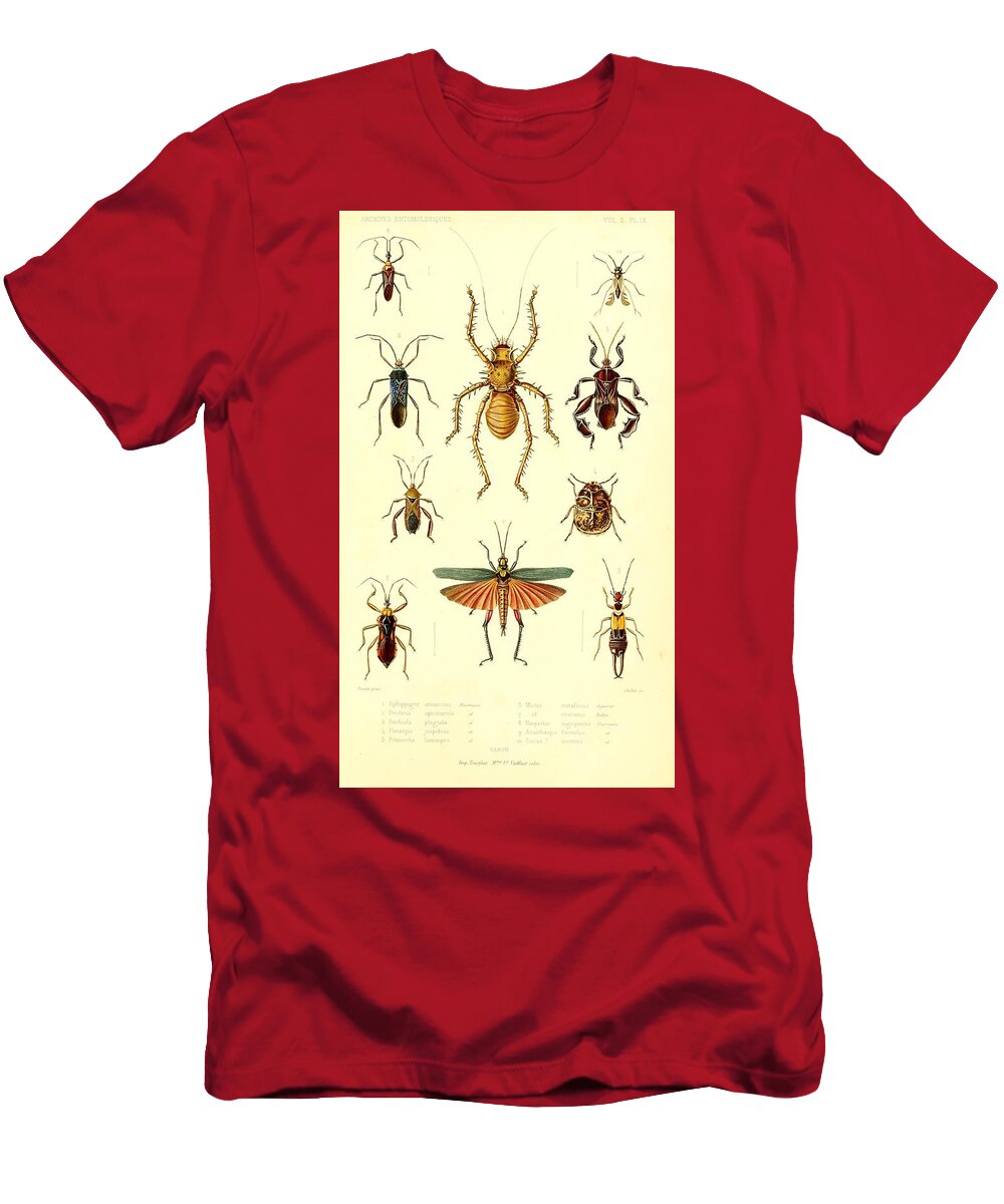 70 Insects Beautiful Nature Prints T-Shirt