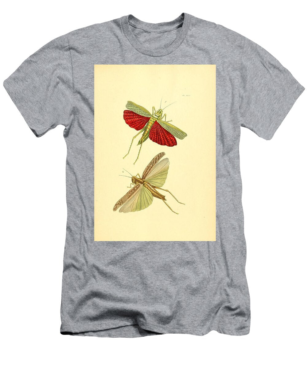 71 Insects Beautiful Nature Prints T-Shirt