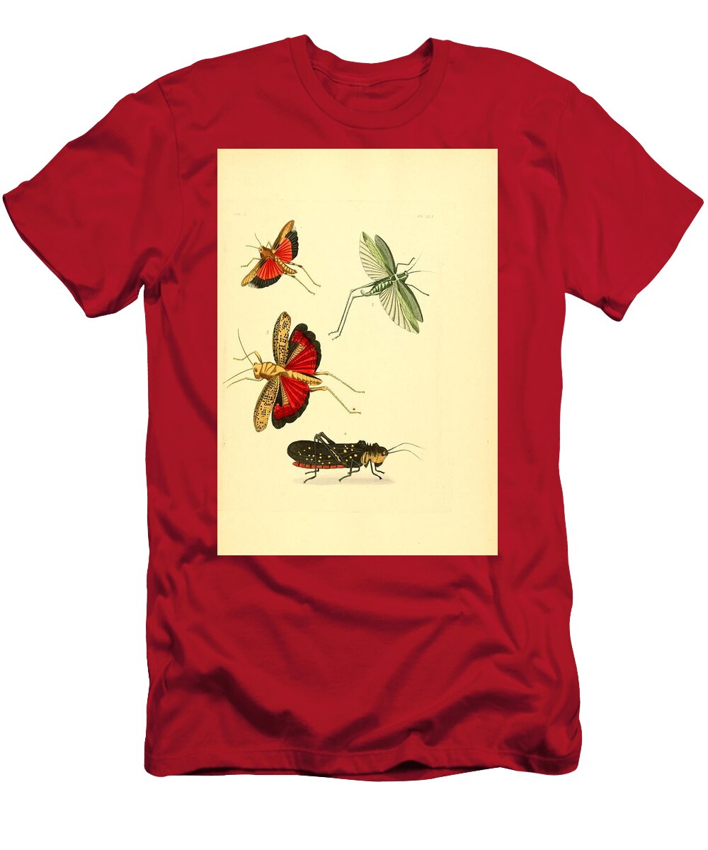 72 Insects Beautiful Nature Prints T-Shirt