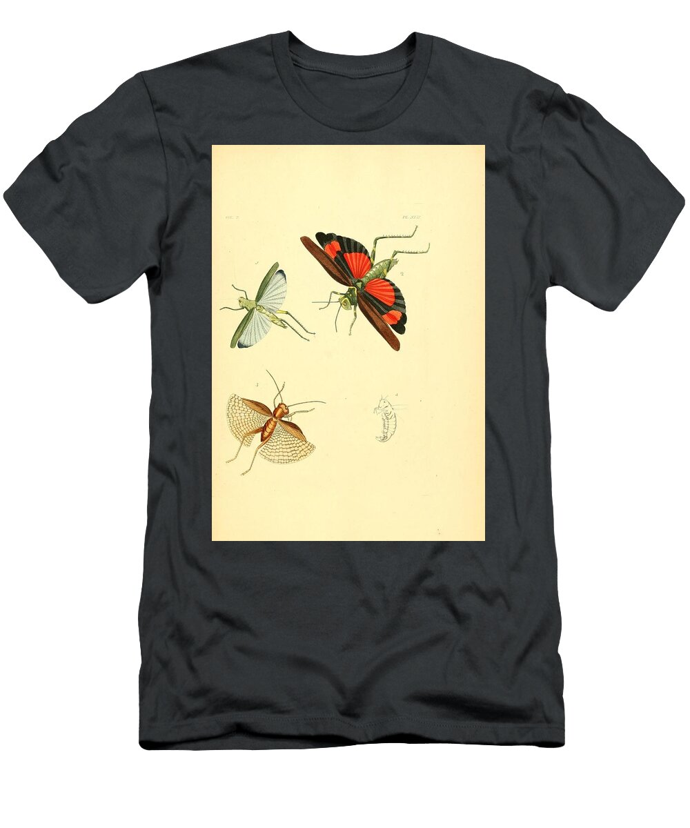 73 Insects Beautiful Nature Prints T-Shirt