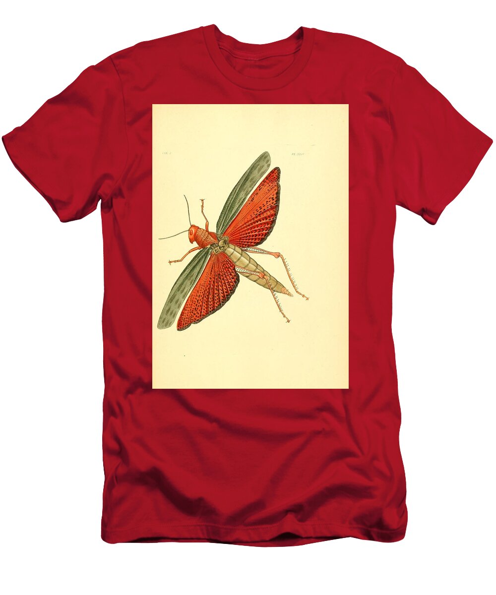 74 Insects Beautiful Nature Prints T-Shirt
