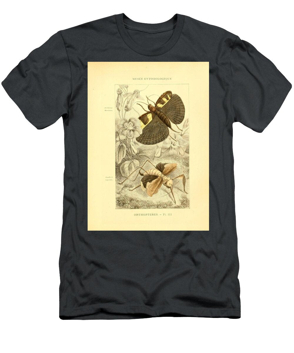 75 Insects Beautiful Nature Prints T-Shirt