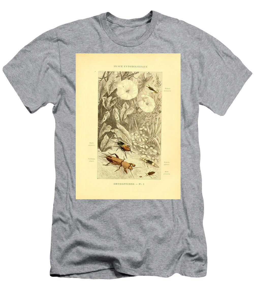 76 Insects Beautiful Nature Prints T-Shirt