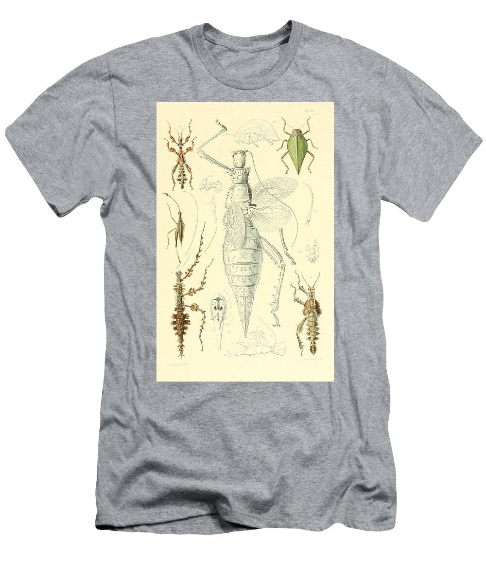 77 Insects Beautiful Nature Prints T-Shirt