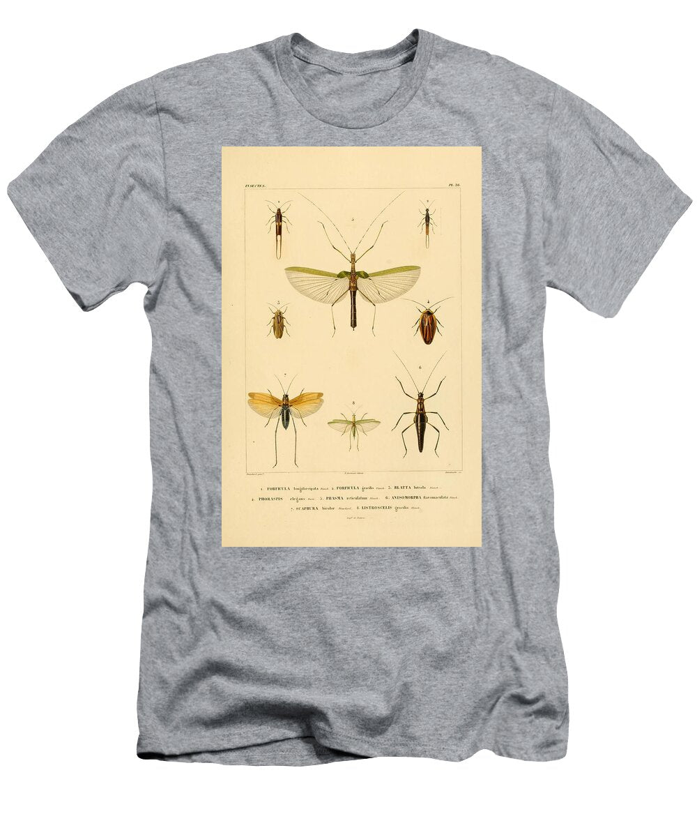 78 Insects Beautiful Nature Prints T-Shirt