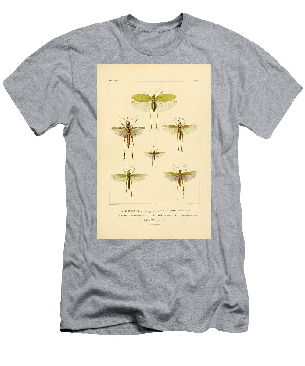 79 Insects Beautiful Nature Prints T-Shirt
