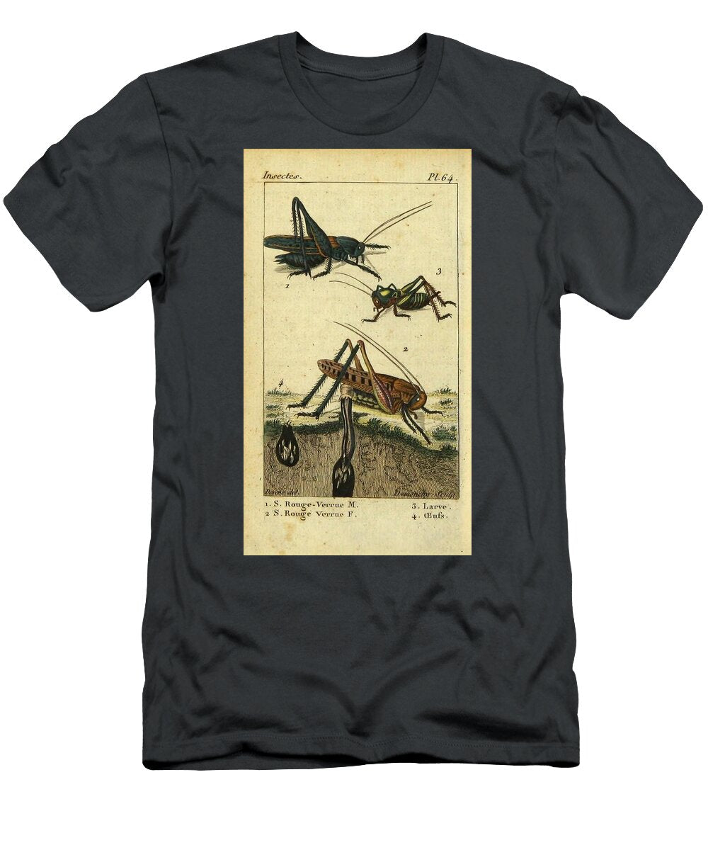 8 Insects Beautiful Nature Prints T-Shirt
