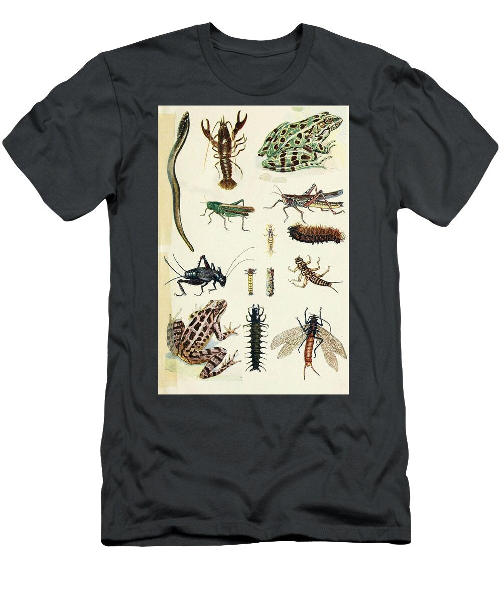 80 Insects Beautiful Nature Prints T-Shirt