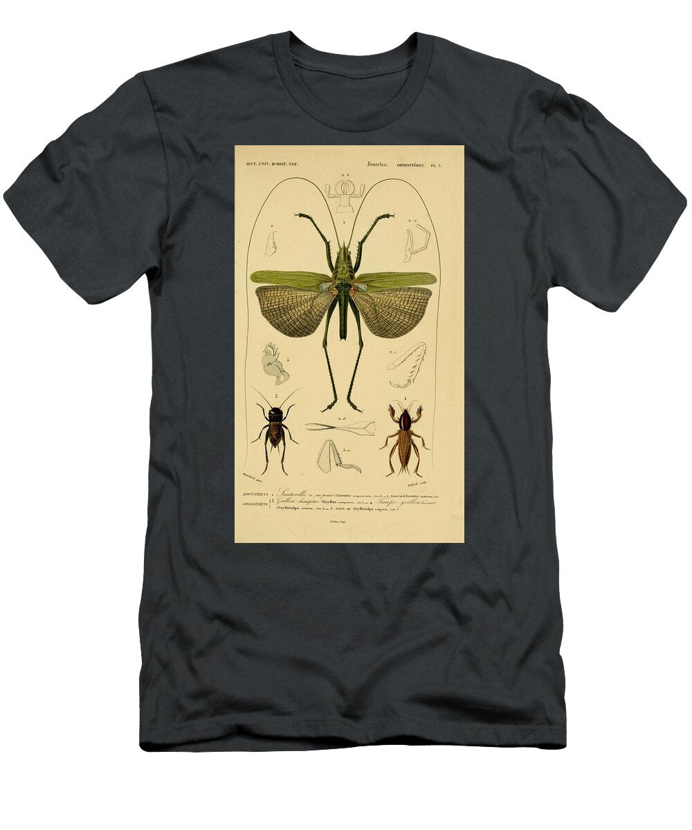 81 Insects Beautiful Nature Prints T-Shirt