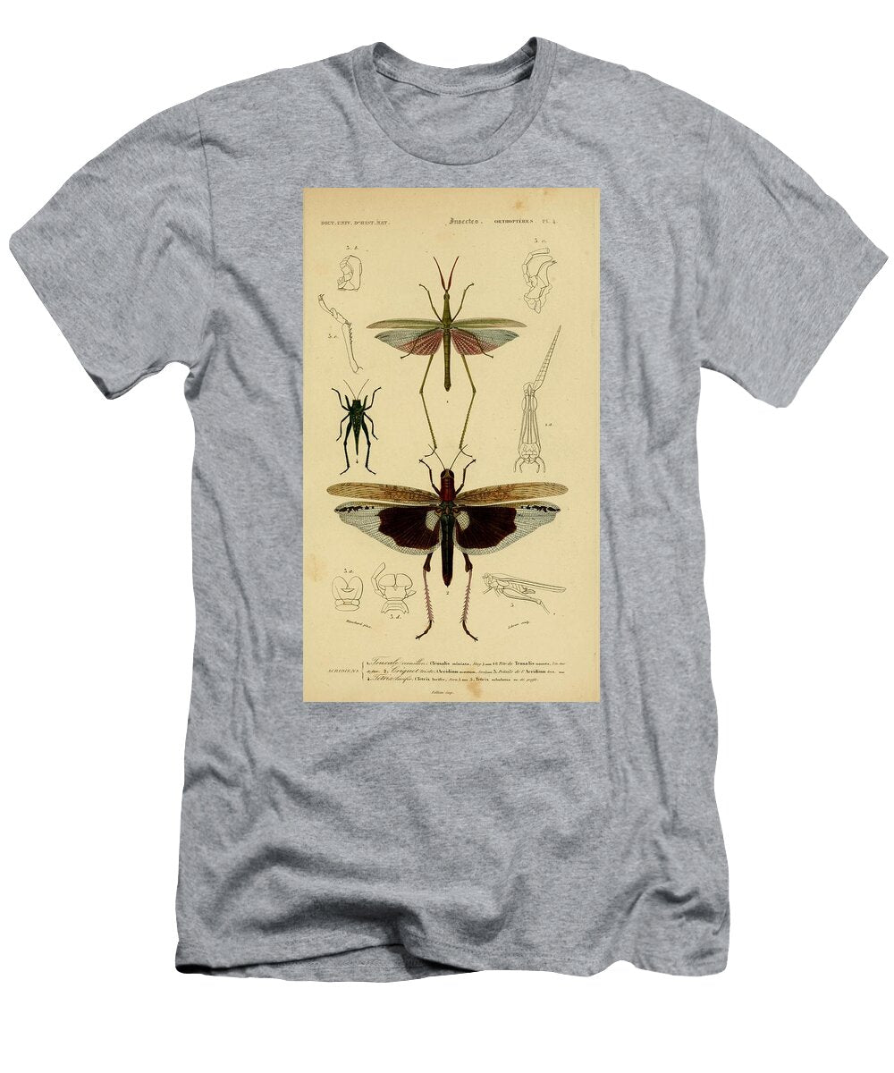 82 Insects Beautiful Nature Prints T-Shirt