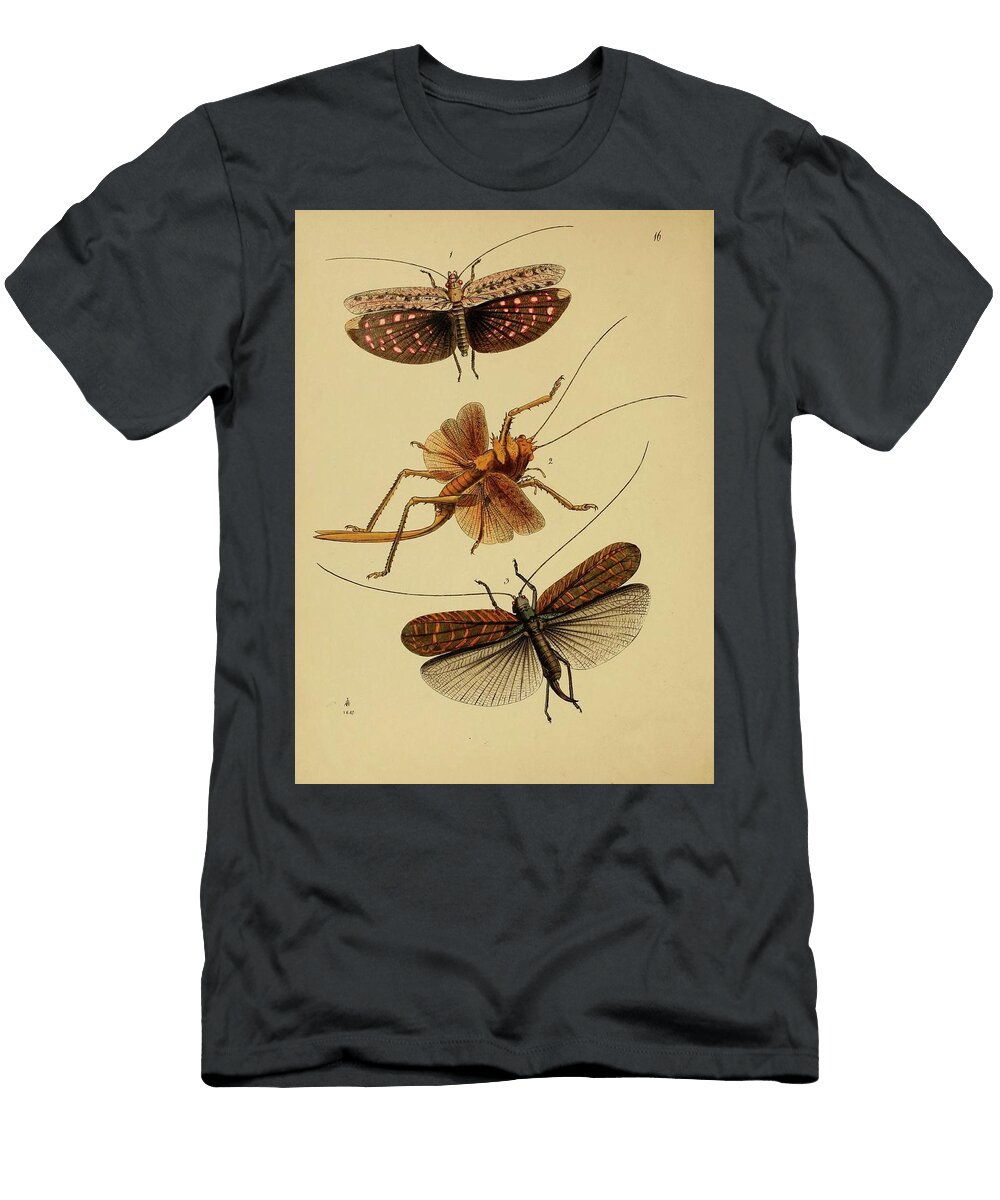 83 Insects Beautiful Nature Prints T-Shirt