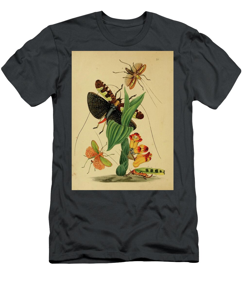 84 Insects Beautiful Nature Prints T-Shirt