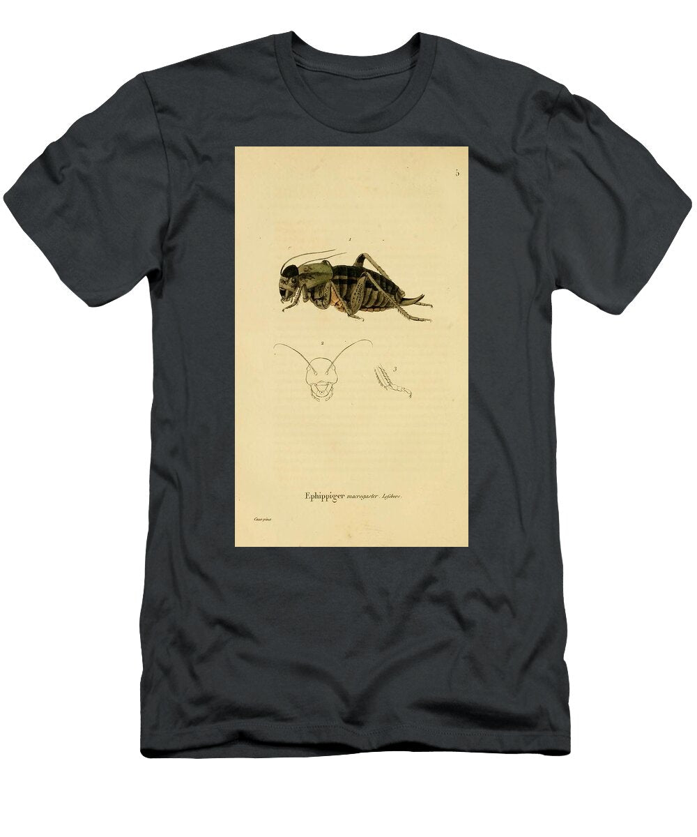 86 Insects Beautiful Nature Prints T-Shirt
