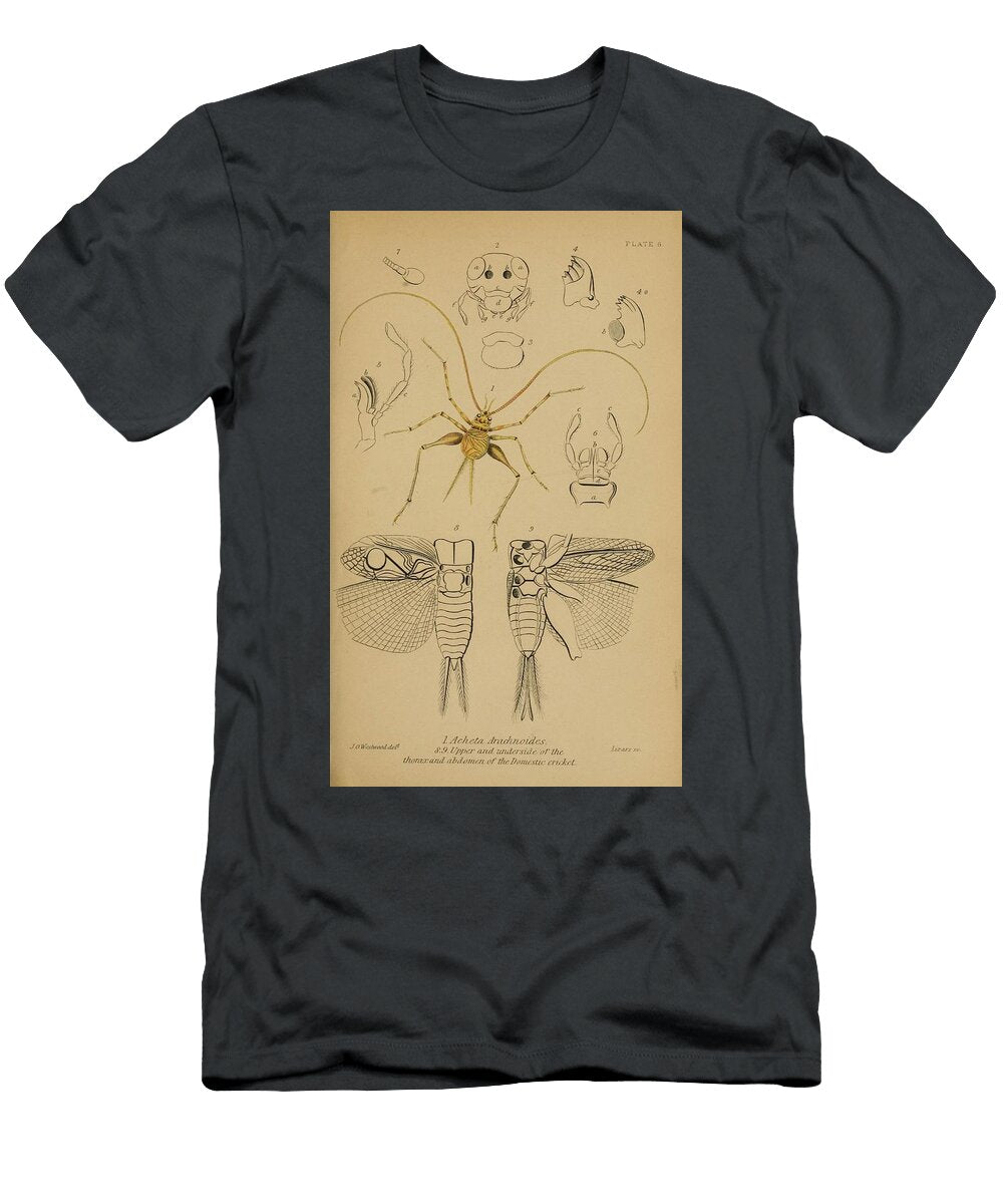 87 Insects Beautiful Nature Prints T-Shirt