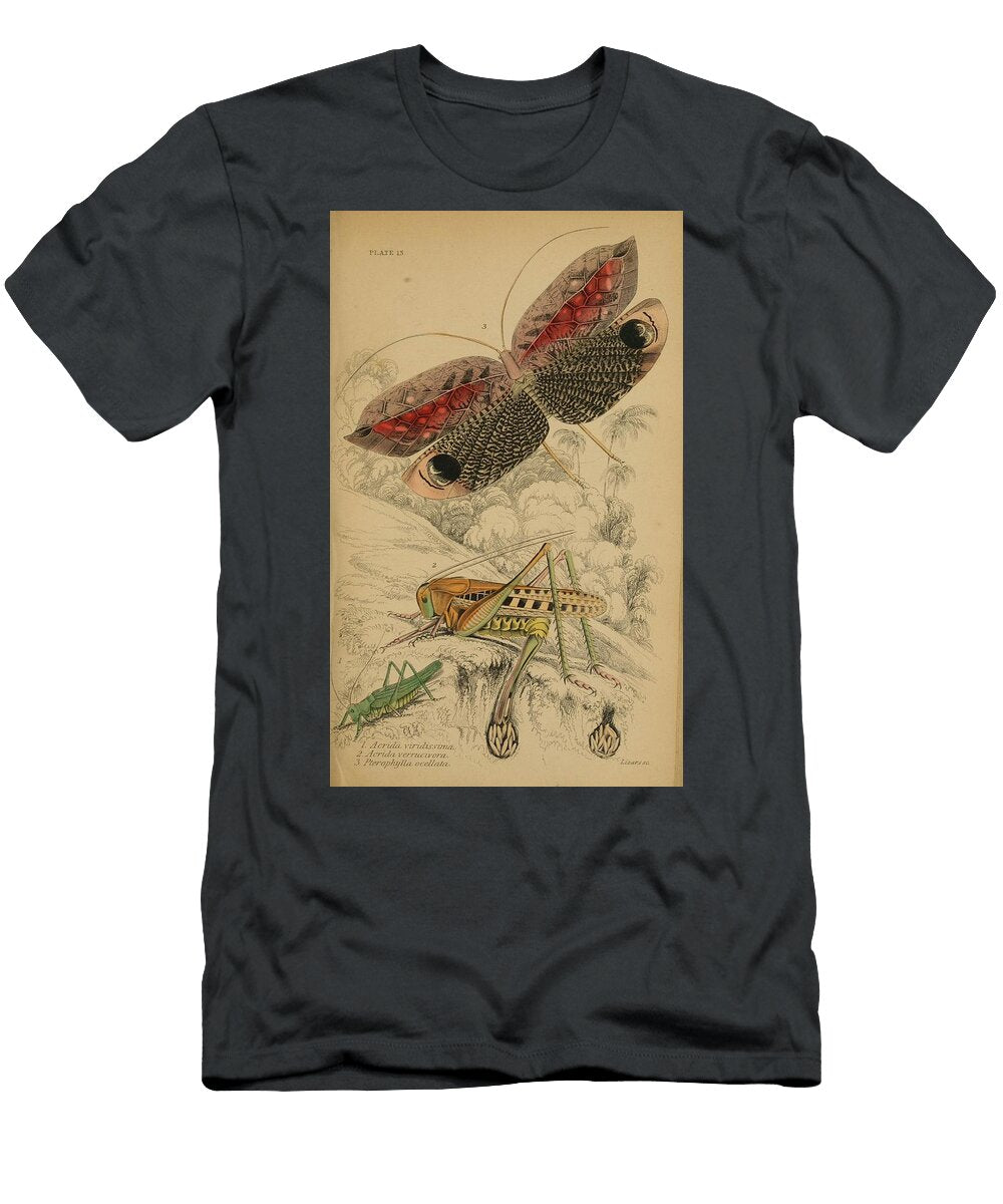 88 Insects Beautiful Nature Prints T-Shirt