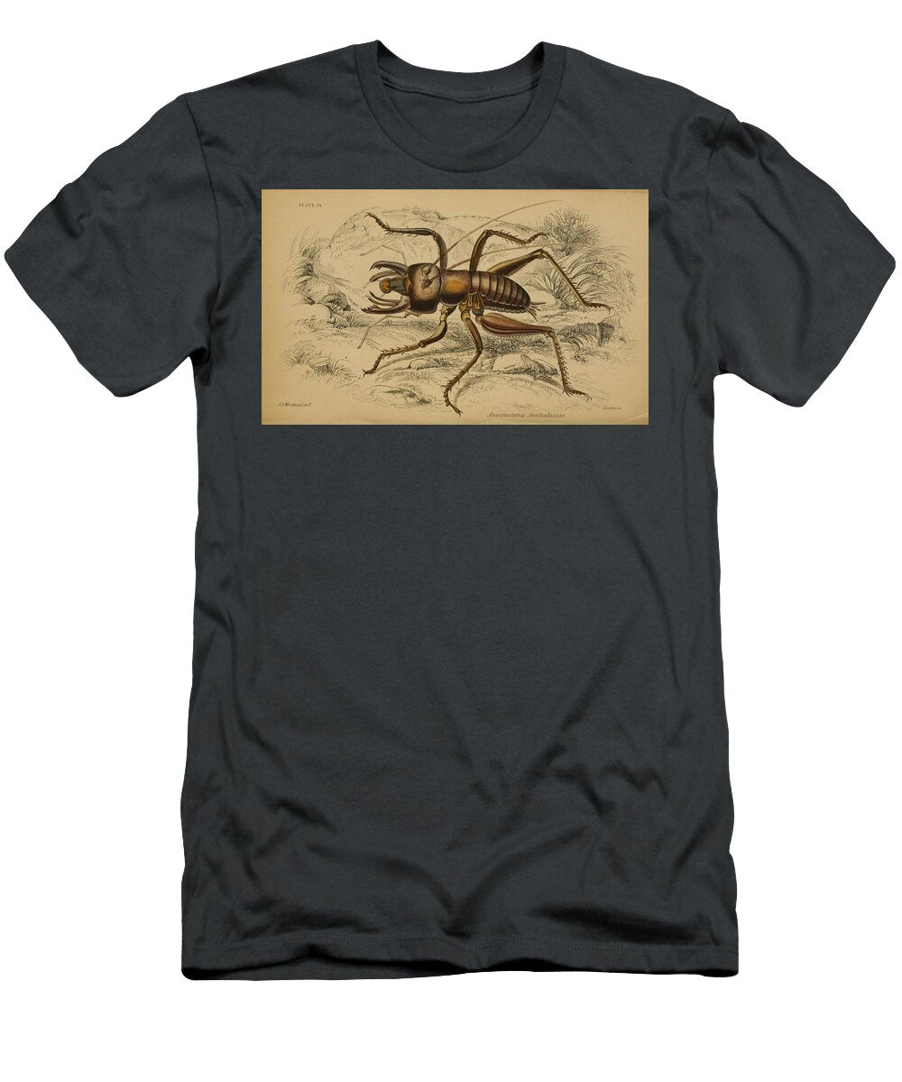 89 Insects Beautiful Nature Prints T-Shirt